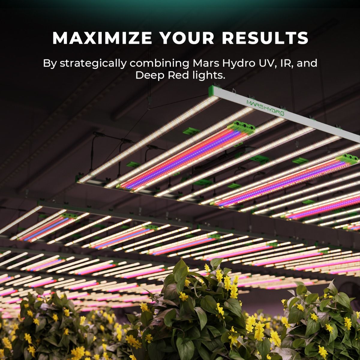 Mars Hydro Adlite R55 Deep Red Supplemental LED Grow Light Bar (2-pack)