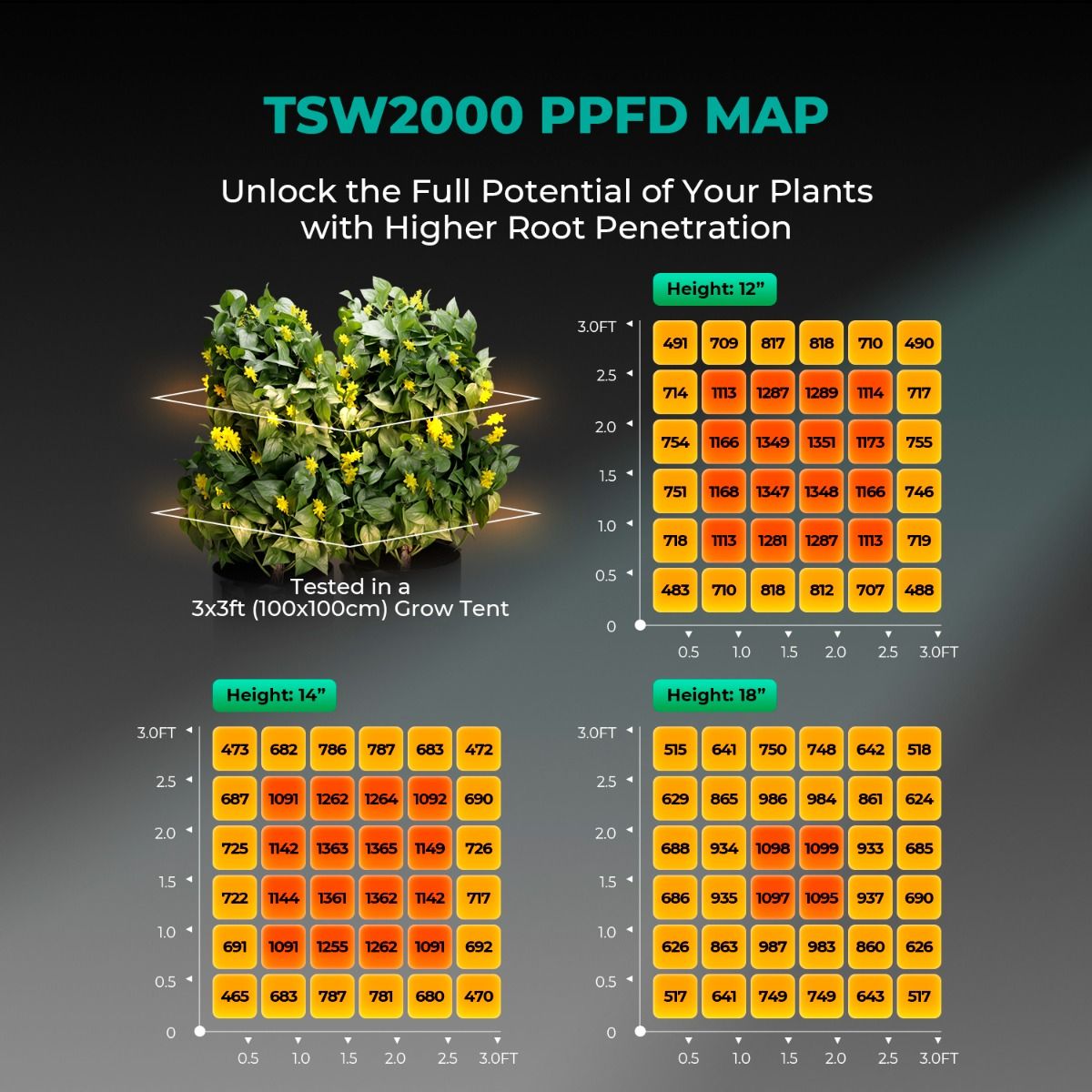 Mars Hydro TSW 2000 + 4'x4' Indoor Tent Complete Grow Kit